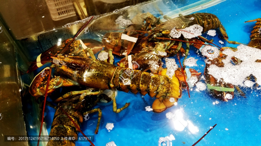 百源家庭农场